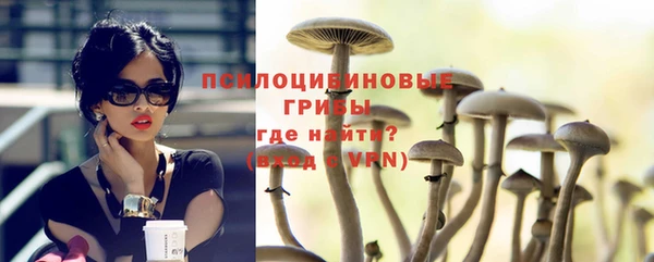 гидра Алзамай