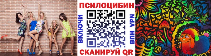 Галлюциногенные грибы Psilocybine cubensis  Купить где  Болотное 